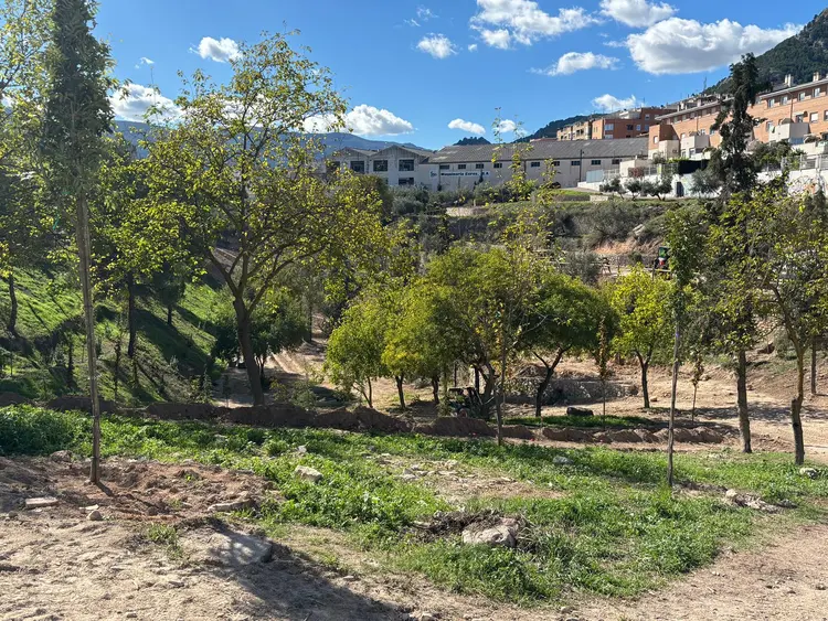 ActuacionsLaVaguada2