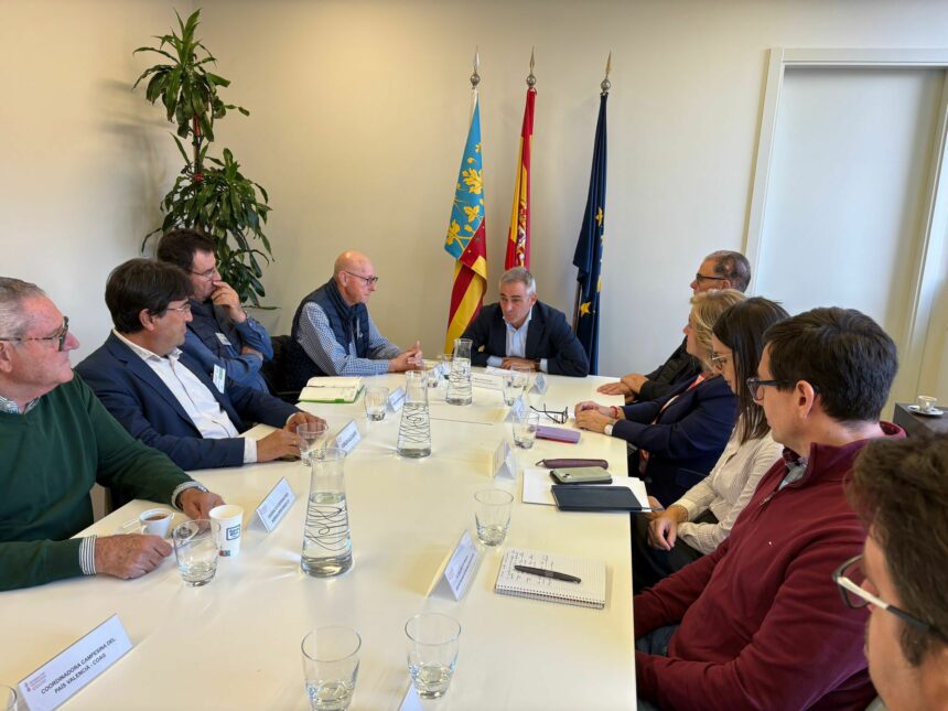 Imatge de WhatsApp 2025 11 11 a les 11.46.33 b8d7d3e2