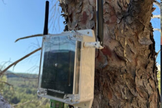 Red de Sensores Inteligentes e1764060311979