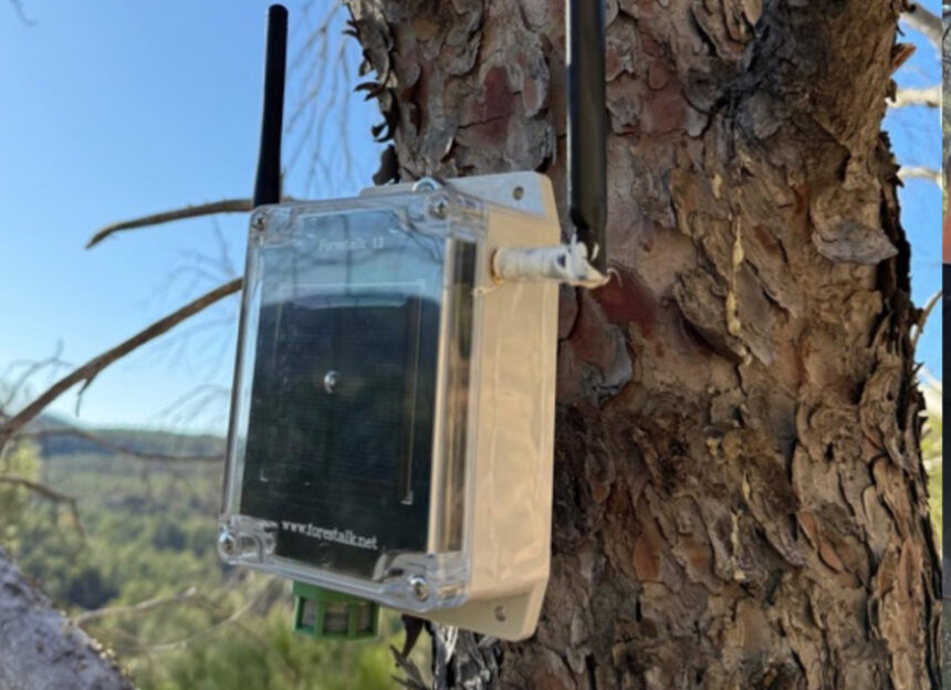 Red de Sensores Inteligentes e1764060311979