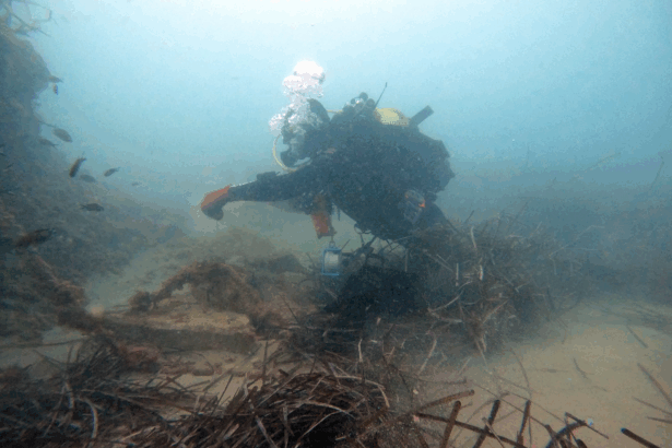 Un buzo trabaja en el tesoro submarino de la Vila Joiosa.