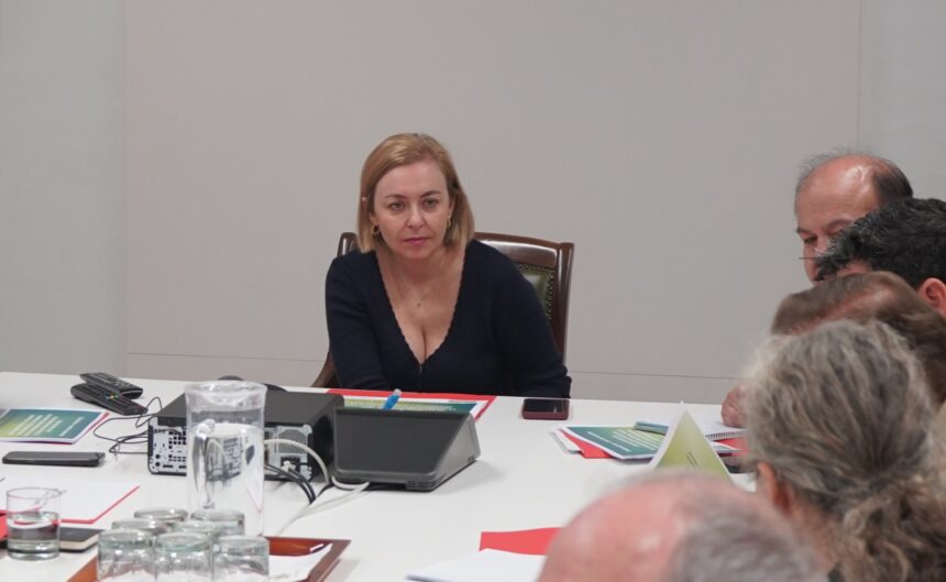 Natàlia Enguix, vicepresidenta de la Diputació de València.