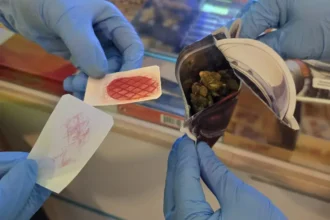 Foto1 10 e1766051840730