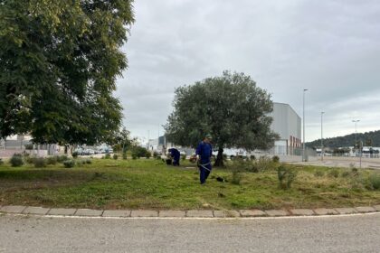Treballs de jardineria en una rotonda d'un polígon de la Vall d'Uixó.