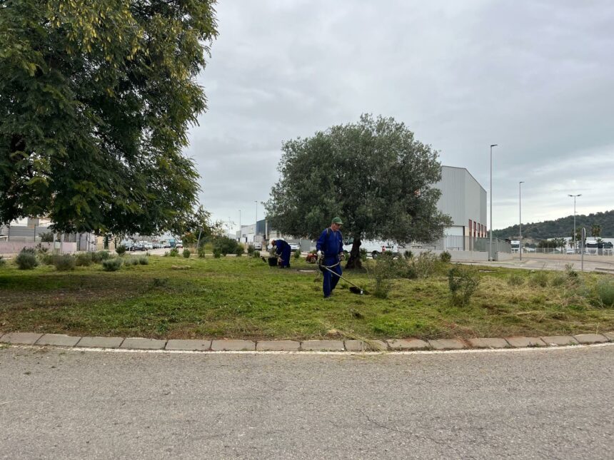 Treballs de jardineria en una rotonda d'un polígon de la Vall d'Uixó.