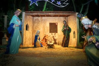 WhatsApp Image 2025 12 09 at 10.21.55 2