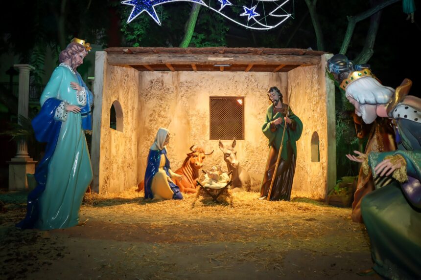 WhatsApp Image 2025 12 09 at 10.21.55 2