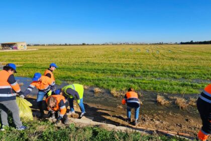 voluntariado corporativo limpieza aldaia