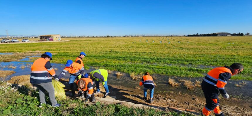 voluntariado corporativo limpieza aldaia