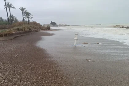 AVAlmarda5enero1 e1767769596967