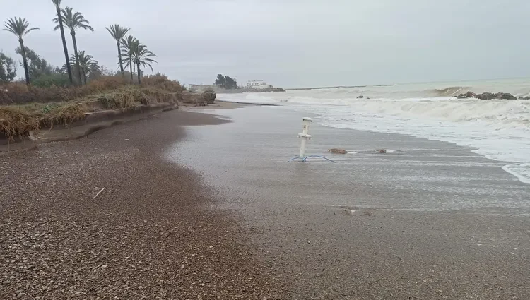 AVAlmarda5enero1 e1767769596967