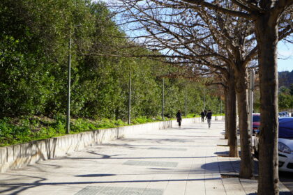 El Passeig del Ferrocarril tindrà nou arbrat.