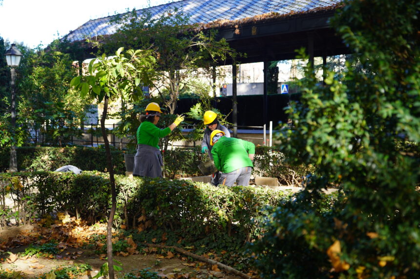 Alumnes de l'escola taller de Xàtiva.