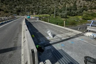 260218frances2602184303