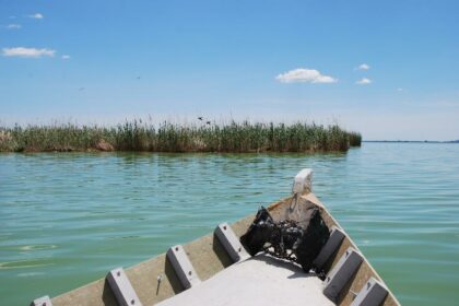 Foto Ambientes la Albufera 4.JPG