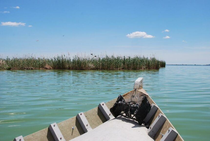 Foto Ambientes la Albufera 4.JPG