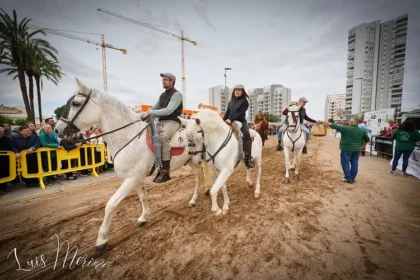 SantAntoniCaballosllegandoalaplaya