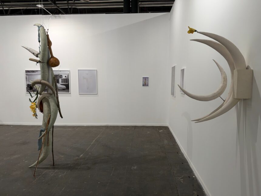 07aec5e1 4b4c 4075 88b4 7ba2799455f3