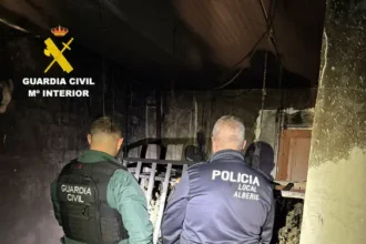 La Guàrdia Civil ha descobert la plantació de marihuana a Alberic.