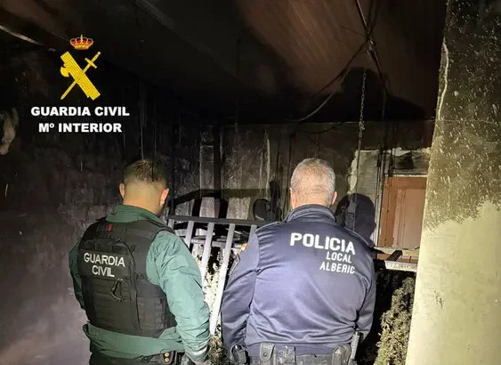 La Guàrdia Civil ha descobert la plantació de marihuana a Alberic.