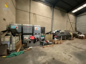 Foto1 5