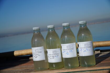 Muestras de agua de l'Albufera.