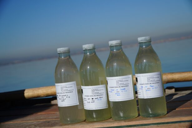 Muestras de agua de l'Albufera.