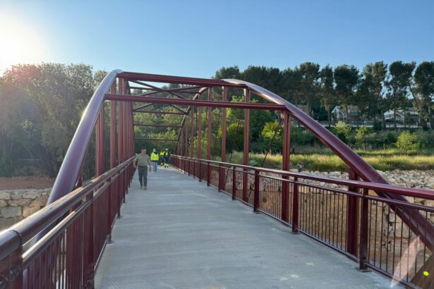 260420 foto VICE3 Puesta en servicio Pasarela Chiva 3