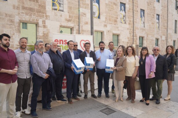 Las firmas han sido presentado ante las Corts Valencianes.