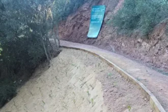 Serra e1775555989838