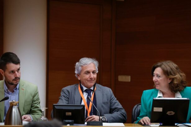 Comparecencia de Fran Mérida en les Corts.