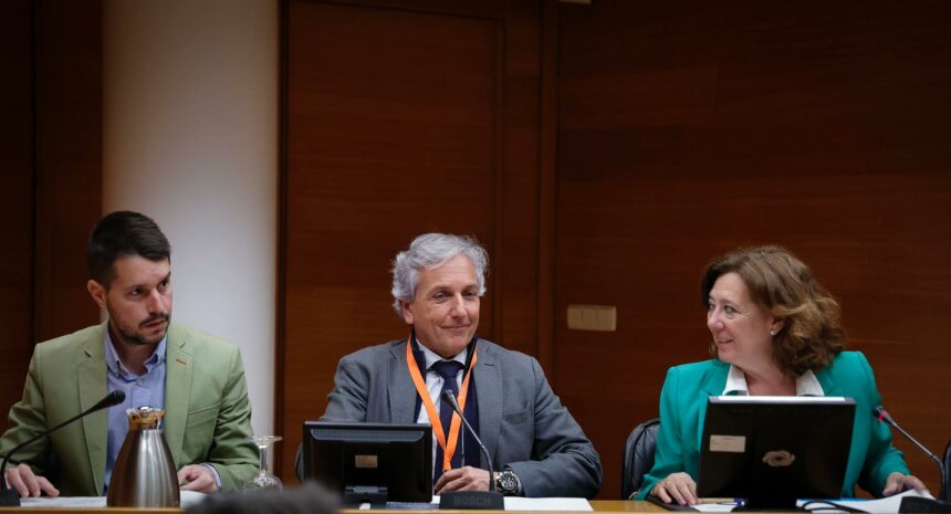 Comparecencia de Fran Mérida en les Corts.