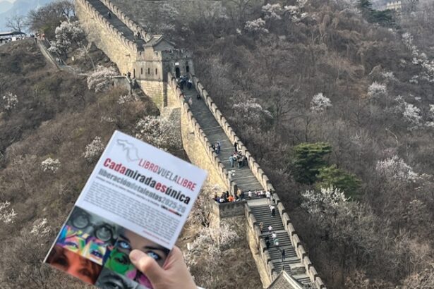 0 Nuevas liberaciones de la iniciativa valenciana Libro Vuela Libre en China