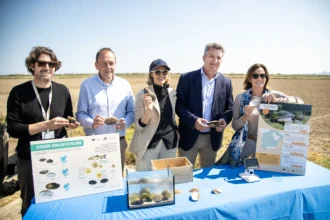 Alianza por el Petxinot una iniciativa impulsada por la Fundacion Oceanografic la Fundacion Aguas de Valencia y la Generalitat Valenciana G