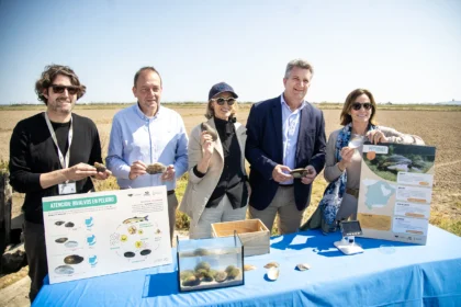 Alianza por el Petxinot una iniciativa impulsada por la Fundacion Oceanografic la Fundacion Aguas de Valencia y la Generalitat Valenciana G