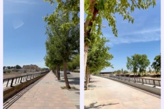 Paseo de la avenida Julio López Tarín.