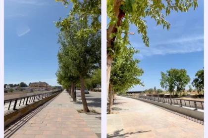 Paseo de la avenida Julio López Tarín.