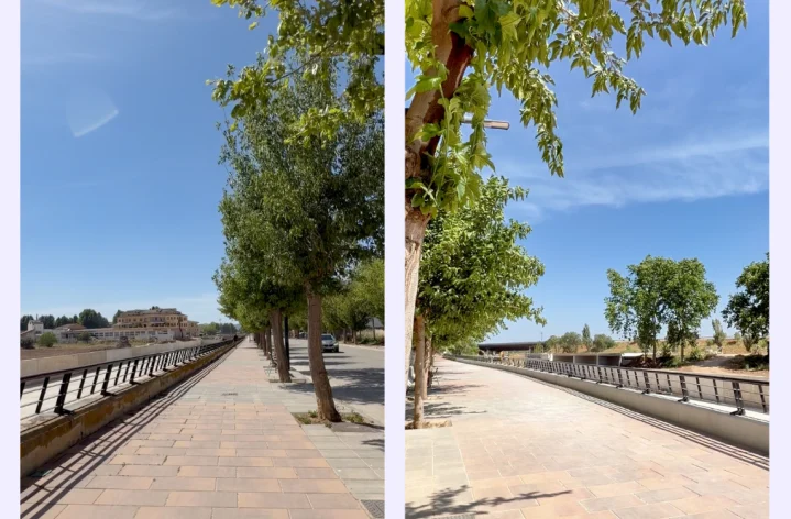 Paseo de la avenida Julio López Tarín.