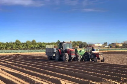 El paro se reduce en l'Horta Nord, especialmente en Alboraia