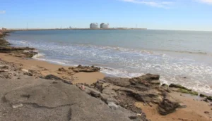 Llum verda a la regeneració de la platja del Grau Vell: Un respir per al litoral de Sagunt 43 sagunt grau vell platja