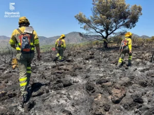 soneja incendio bomberos