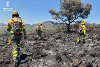 Bomberos trabajan todavía sobre el terreno en Soneja tras el incendio.