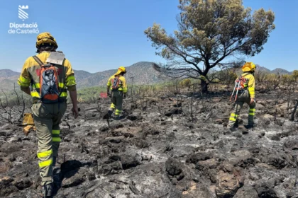 Bomberos trabajan todavía sobre el terreno en Soneja tras el incendio.