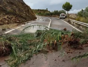 Las tormentas de pedrisco devastan Requena-Utiel y la Vall d'Albaida: valorados 10 millones en pérdidas 39 Foto recurs Bejis