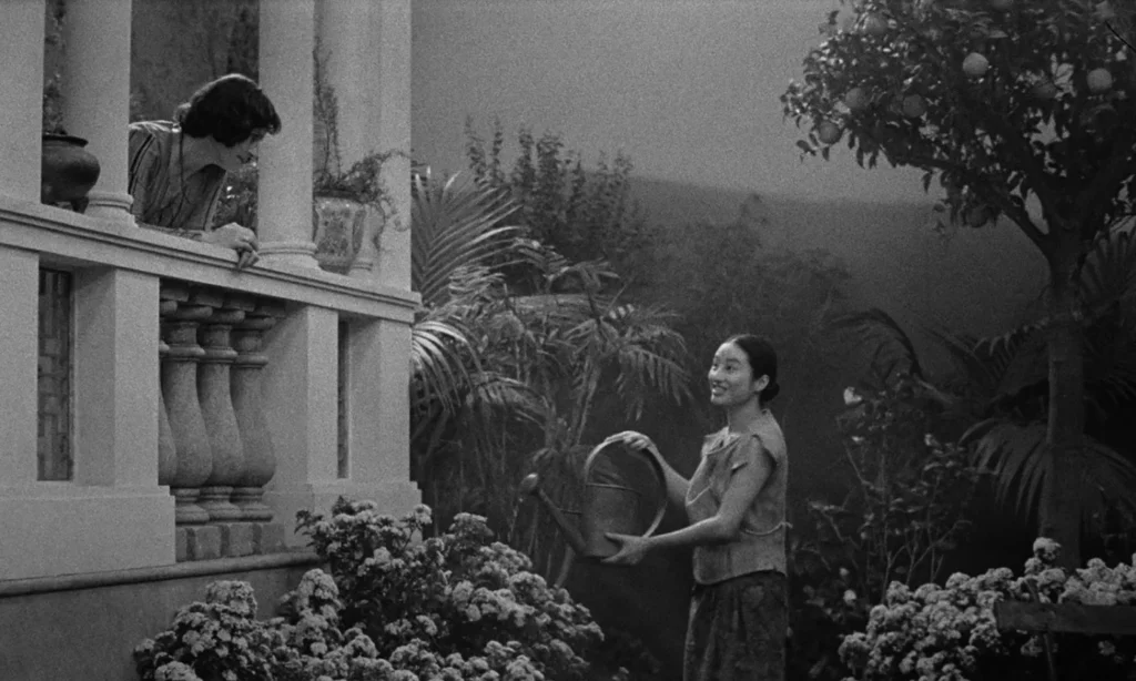 filmoteca d'estiu