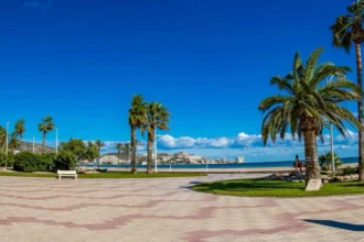 cullera
