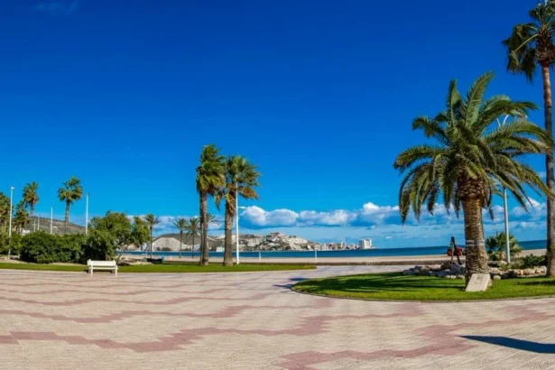cullera