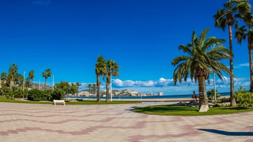 cullera