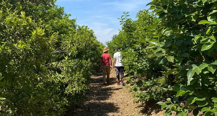 agricultorescitricos