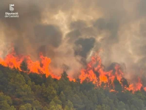 La localidad de Gátova es evacuada de urgencia por el avance del incendio de Segorbe que también amenaza a la Sierra Calderona 38 segorbe incendio 02
